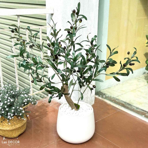 Cây Giả Decor - Cây Olive Giả Trang Trí Phòng Khách Độc Đáo (80cm)- CC1206