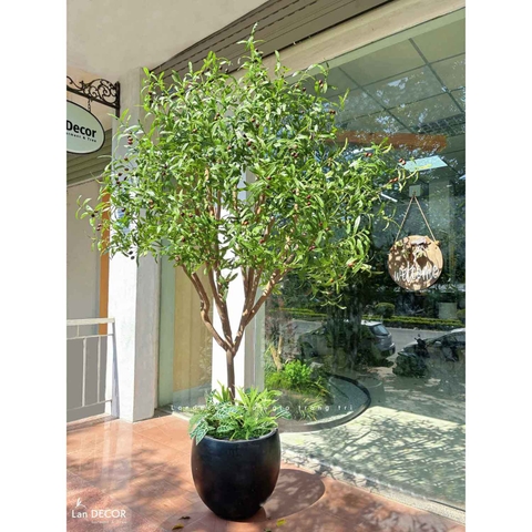 Cây Oliu Giả Thiết Kế - Cây Olive Giả Trang Trí Căn Hộ, Studio Hiện Đại, Tinh Tế (210cm)- CC1225