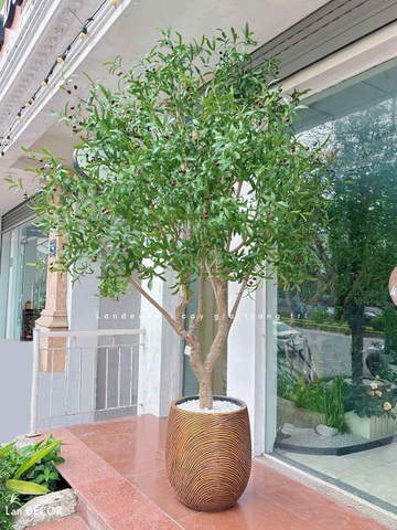 Cây Oliu Giả Thiết Kế - Cây Olive Giả Thiết Kế Giếng Trời, Sảnh Khách Sạn Phong Cách Bắc Âu (250cm)- CC1273