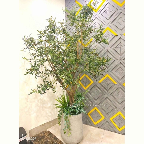 Cây Giả Thiết Kế- Cây Olive Giả - Giải Pháp Trang Trí Không Gian Xanh Bền Vững (220cm)- CC1302