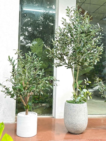 Olive Giả Decor- Cây Olive Giả Trang Trí Nội Thất (95cm)- CC1207