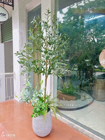 Cây Giả Trang Trí- Cây Olive Thiết Kế Căn Hộ Xanh (180cm)- CC1290