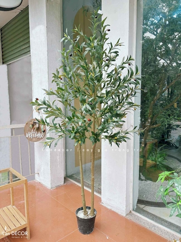 Cây Giả Trang Trí- Cây Olive Thiết Kế Căn Hộ Xanh (180cm)- CC1290