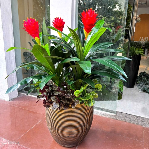 Cây Giả Decor- Cây Phát Lộc Hoa Đỏ Trang Trí Không Gian Sống Động (cao 120cm, tán 65cm)- CC1132