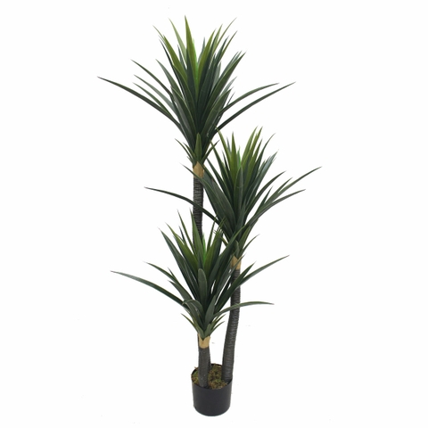 Chậu cây phát tài núi mix tiểu cảnh trang trí nội thất cao 1,5m - LC3005 mix