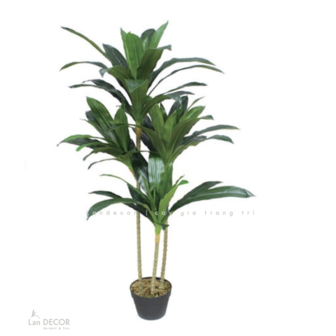 Cây Giả - Cây Tài Lộc Giả Decor Tiểu Cảnh (120cm)- LC3232