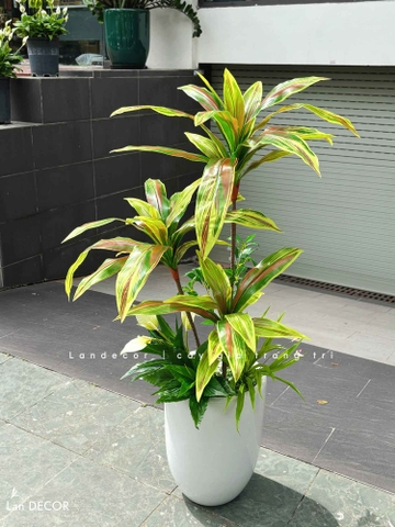 Cây Giả Trang Trí - Cây Tài Lộc Giả Thiết Kế Tiểu Cảnh Giả (100cm)- LC2989