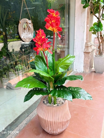 CÂY TÀI LỘC HOA TRANG TRÍ ĐẸP LAN DECOR - LC1802