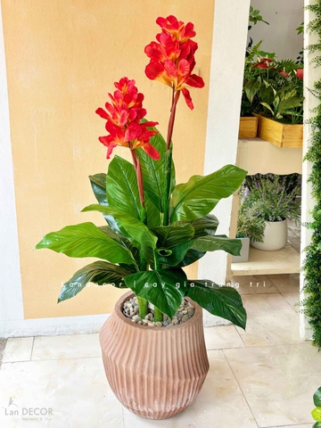 CÂY TÀI LỘC HOA TRANG TRÍ ĐẸP LAN DECOR - LC1802