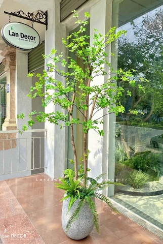 DECOR CÂY THẠCH NAM NHẬT BẢN THIẾT KẾ - CC765