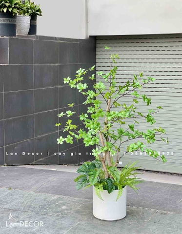 Cành Lá Giả Decor, Cành Thạch Nam Nhật Bản Trang Trí Nhà Đẹp - HC996