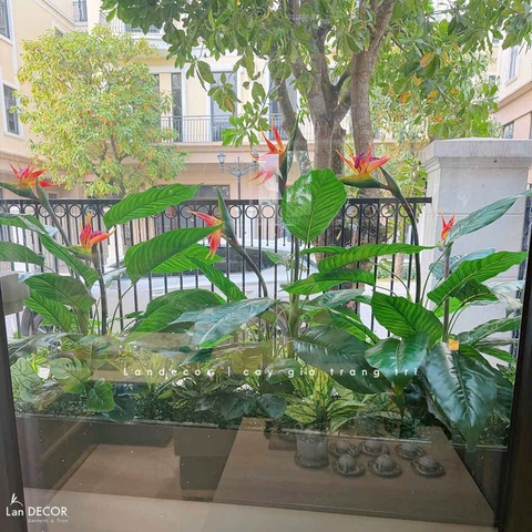 Bồn Hoa Thiên Điểu Thiết Kế Không Gian (35X120X105cm)- CC993