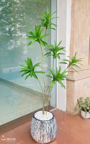 Cây Giả Trang Trí- Cây Thiết Mộc Lan Giả Decor Không Gian Độc Đáo (160cm)- LC3737-1-XANH