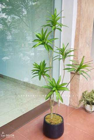 Cây Giả Trang Trí- Cây Thiết Mộc Lan Giả Decor Không Gian Độc Đáo (160cm)- LC3737-1-XANH
