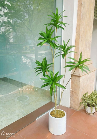 Cây Giả Trang Trí- Cây Thiết Mộc Lan Giả Decor Không Gian Độc Đáo (160cm)- LC3737-1-XANH