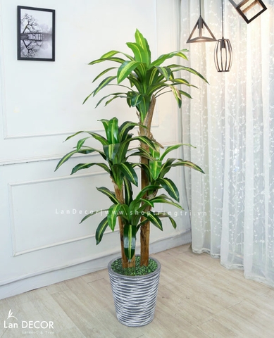 Cây thiết mộc lan trang trí nội thất hiện đại sang trọng Lan Decor (160cm) - LC2855