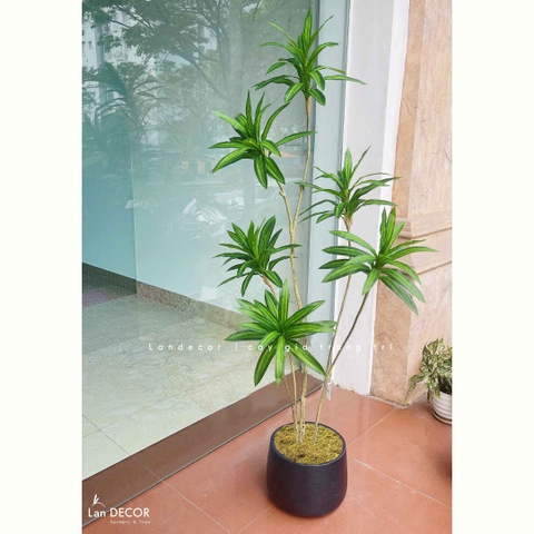Cây Giả Trang Trí- Cây Thiết Mộc Lan Giả Decor Không Gian Độc Đáo (160cm)- LC3737-1-XANH