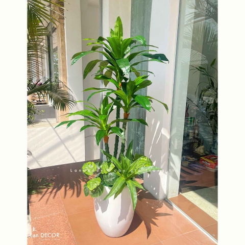 Cây Giả Trang Trí- Cây Thiết Mộc Lan Giả Decor Văn Phòng Xanh (125cm)- LC2318