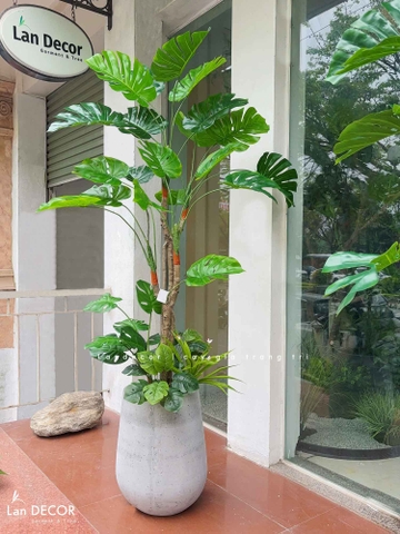 Cây Giả Trang Trí- Cây Trầu Bà Nam Mỹ Giả Trang Trí Nội Thất Phong Cách Tropical (170cm)- LC3536