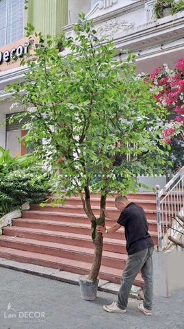 Thân cây giả- Thân cây lá xanh thiết kế độc đáo