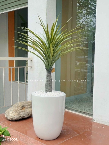 Cây Giả - Chậu Cây Yucca Giả Trang Trí (85cm)- LC3356