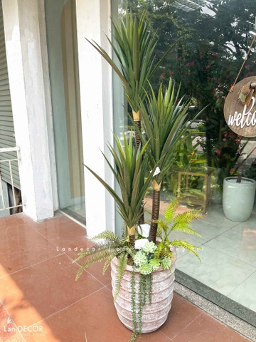 Cây phát tài núi Lan decor - cây giả trang trí 1,5m - LC3005