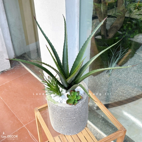 Cây Giả Decor- Cây Yucca Giả Thiết Kế Tiểu Cảnh Độc Đáo (12 lá, 45cm)-LC3464