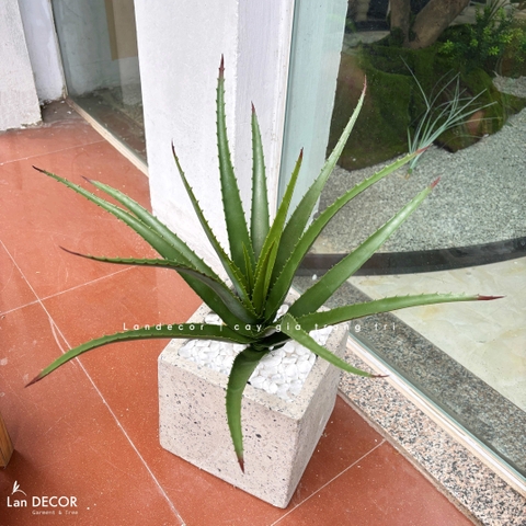 Cây Giả- Cây Yucca Giả Decor Bồn Rêu, Chậu Cây Tiểu Cảnh (16 lá, 45cm)- LC3463