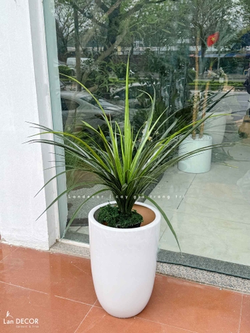 Cây Giả Decor - Cây Yucca Giả Trang Trí Nội Thất (80cm)- LC3348
