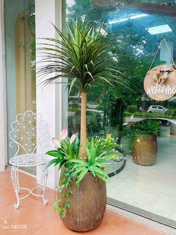 Cây Giả Decor- Cây Yucca Giả Thiết Kế Không Gian Phong Cách Hiện Đại (150cm)- LC3638