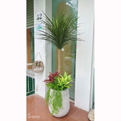 Cây Giả Decor- Cây Yucca Giả Thiết Kế Không Gian Phong Cách Hiện Đại (150cm)- LC3638