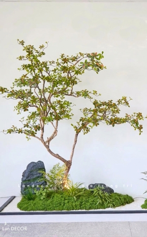 Tiểu Cảnh Cây Giả- Bồn Rêu Cây Cành Cổ Lá Đỏ Giả Decor Không Gian Cửa Hiệu (90X200X220cm)- RC147