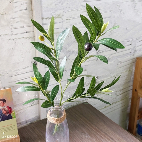 Cành Lá Giả- Cành Lá Olive Thiết Kế Cây Giả Tiểu Cảnh - HC421, HC422