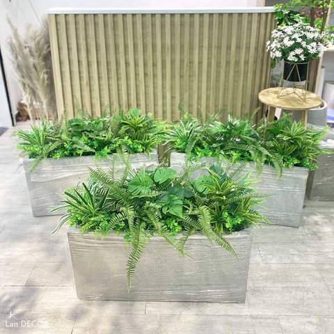 BỒN CÂY TIỂU CẢNH DECOR NHÀ ĐẸP- CC525
