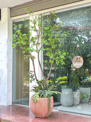 Cây Giả- Cây Lá Đỏ Giả Thiết Kế Tiểu Cảnh Độc Đáo, Trưng Bày Không Gian Mới Lạ (230cm)- CC1388