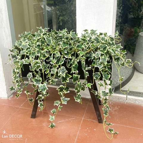 Kệ Cây Rủ Giả - Kệ Cây Thường Xuân Rủ Giả Decor Tiểu Cảnh Độc Đáo (90X40X80cm)- BC287