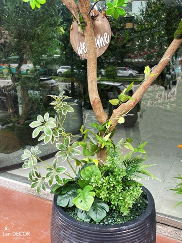 Cây Giả- Cây Thạch Nam Tiểu Cảnh Thiết Kế Không Gian (220cm)- CC1356