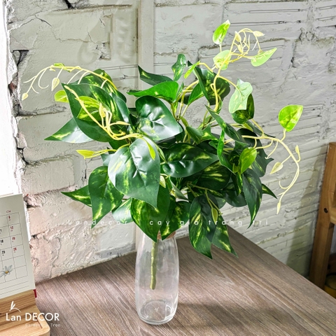 Cành Lá Giả - Cành Vạn Niên Giả Trang Trí Giỏ Treo, Thiết Kế Chậu Cây Giả Decor (50cm)- HC1440
