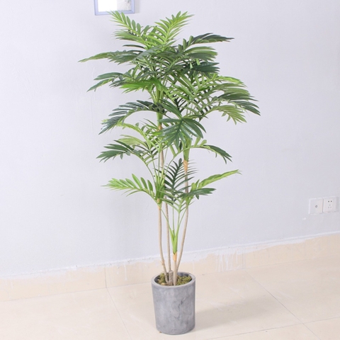 cây dừa giả