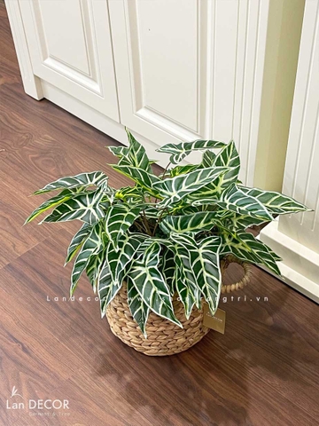 GIỎ BÁN HẠ ĐỂ BÀN TRANG TRÍ NHÀ ĐẸP- CC684