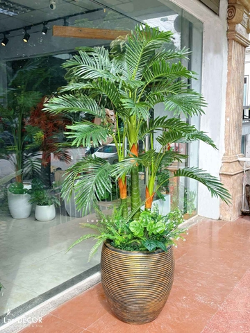 CHẬU CÂY DỪA TIỂU CẢNH PHONG CÁCH NHIỆT ĐỚI LAN DECOR - LC3062 MIX