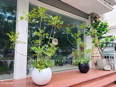 Cây Giả Decor- Cây Nam Thiên Trúc Giả Thiết Kế Sảnh Văn Phòng, Điểm Nhấn Không Gian Xanh (200cm)- LC3047 Mix