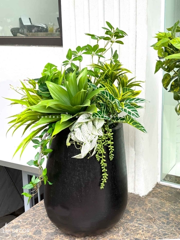 Tiểu Cảnh Giả Trang Trí- Chậu Cây Tiểu Cảnh Thiết Kế Độc Đáo (cao 90cm, tán 60cm)- CC1124
