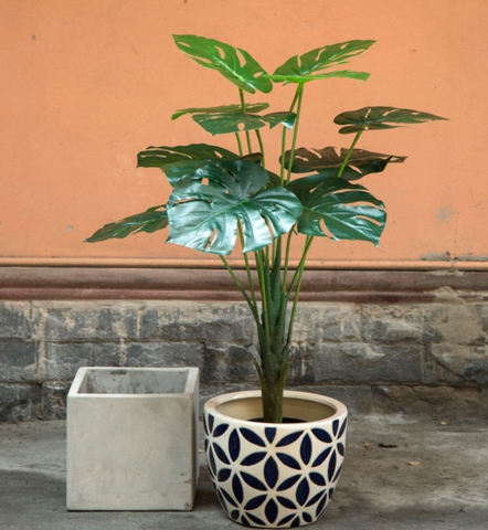 Cây lá rùa trang trí nhà đẹp hiện đại 90cm - LC2475-1