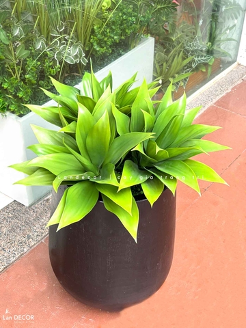 Tiểu Cảnh Cây Giả- Chậu Cây Lô Hội Giả Thiết Kế Cửa Hiệu (cao 70-105cm, tán 60cm)- CC1130