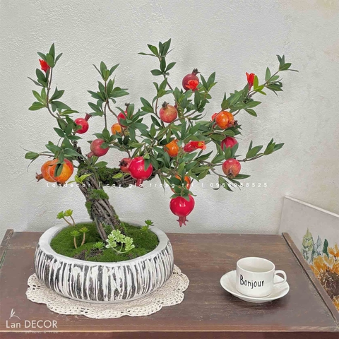 Lựu giả- Chậu Cây Lựu Bonsai Thiết Kế Không Gian- CC386-3