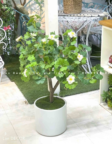 Chậu cây hoa Ngân hạnh decor nhà xinh xắn (90cm)- CC966