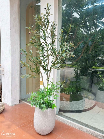 Cây Giả Trang Trí- Cây Olive Giả Trang Trí Phòng Khách Xanh (160cm)- CC1298