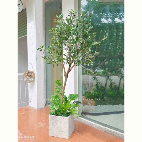 Cây Giả- Cây Olive Dáng Huyền Độc Đáo, Thiết Kế Tự Nhiên (140cm)- CC1293