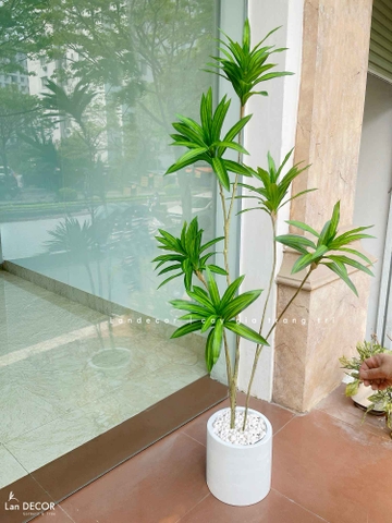 Cây Giả Trang Trí- Cây Thiết Mộc Lan Giả Decor Không Gian Độc Đáo (160cm)- LC3737-1-XANH